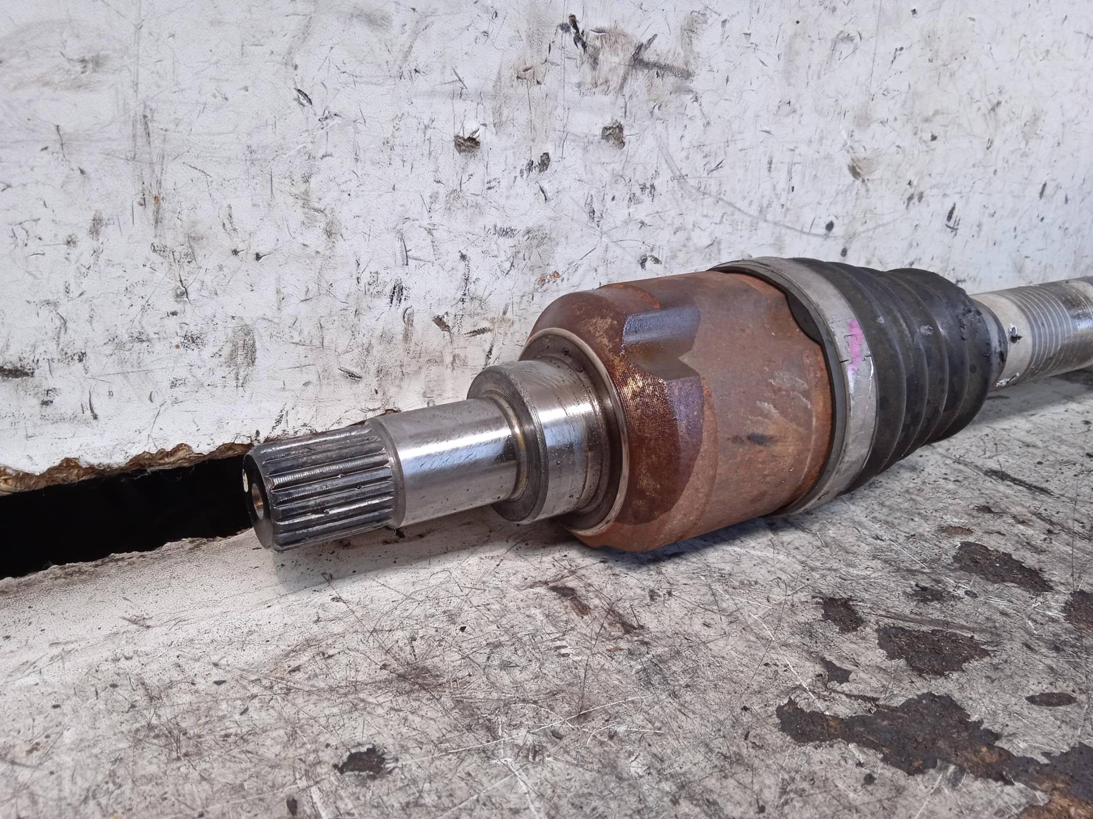 Semialbero ant. compl. sx.